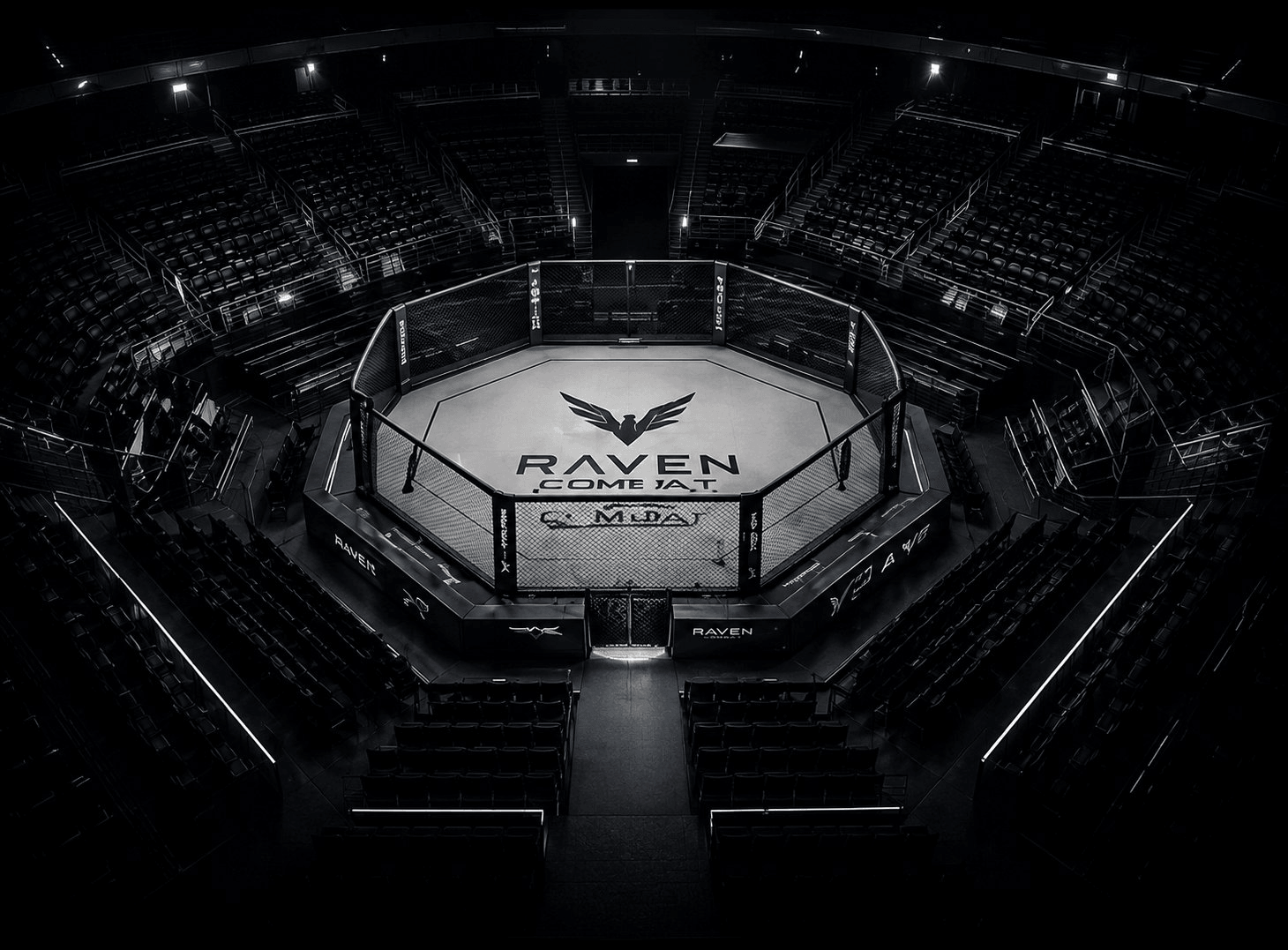 Raven Combat Arena from the high corner